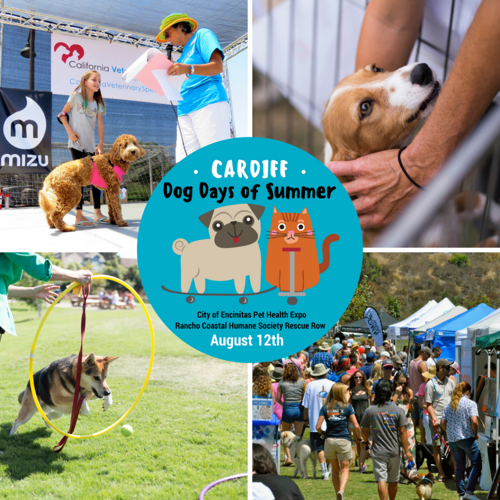 Dog Days of Summer In Encinitas On Sunday! - Magic 92.5